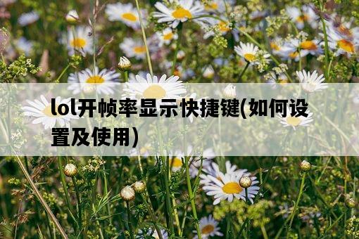 lol開幀率顯示快捷鍵，如何設置及使用-圖1