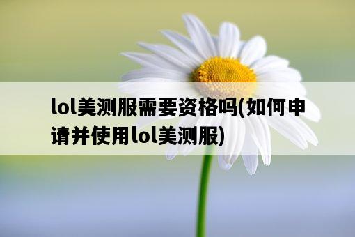 lol美測服需要資格嗎，如何申請并使用lol美測服-圖1
