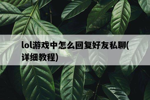 lol游戲中怎么回復好友私聊，詳細教程-圖1