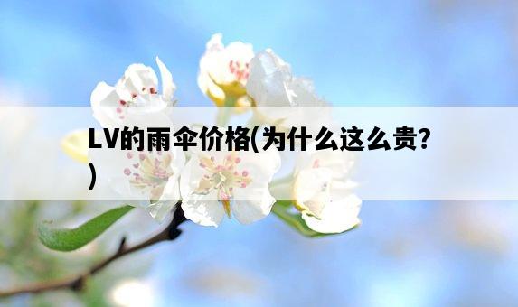 LV的雨傘價格，為什么這么貴？-圖1