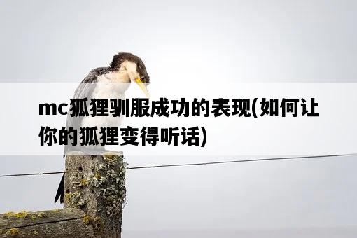 mc狐貍馴服成功的表現，如何讓你的狐貍變得聽話-圖1