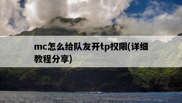 mc怎么給隊友開tp權限，詳細教程分享-圖1