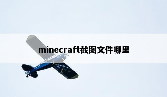 minecraft截圖文件哪里-圖1 minecraft截圖文件哪里-圖1
