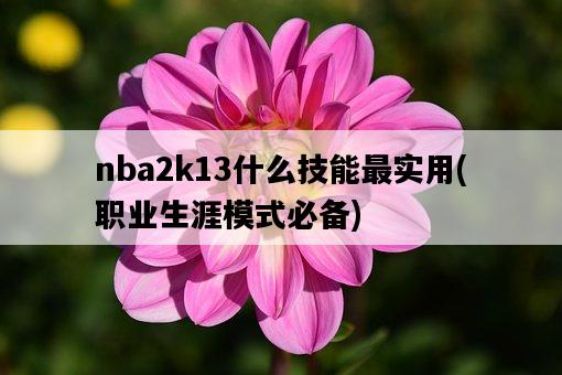 nba2k13什么技能最實用，職業生涯模式必備-圖1