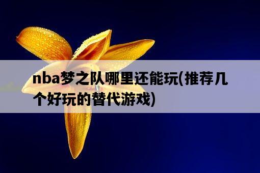 nba夢之隊哪里還能玩,推薦幾個好玩的替代游戲-圖1 nba夢之隊哪里還能玩,推薦幾個好玩的替代游戲-圖1