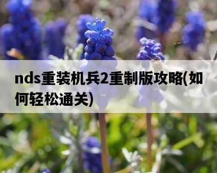 nds重裝機兵2重制版攻略，如何輕松通關-圖1
