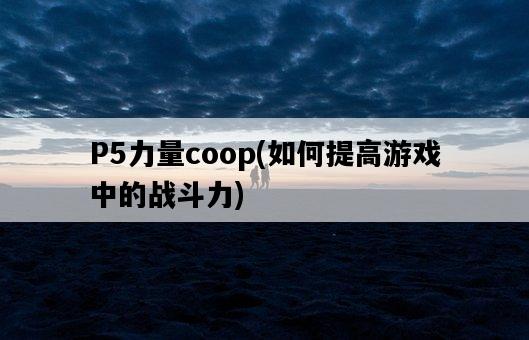 P5力量coop，如何提高游戲中的戰斗力-圖1