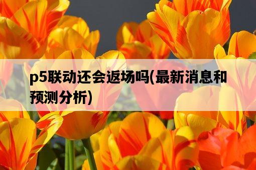 p5聯動還會返場嗎，最新消息和預測分析-圖1