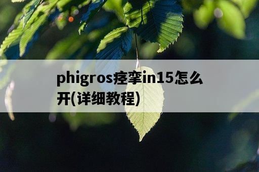 phigros痙攣in15怎么開，詳細教程-圖1