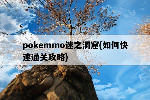 pokemmo迷之洞窟,如何快速通關攻略-圖1 pokemmo迷之洞窟,如何快速通關攻略-圖1