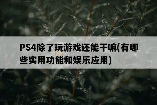 PS4除了玩游戲還能干嘛，有哪些實用功能和娛樂應用-圖1