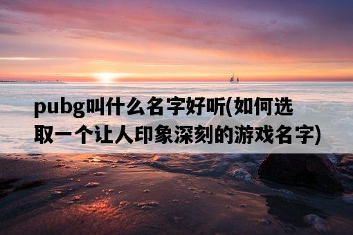 pubg叫什么名字好聽，如何選取一個讓人印象深刻的游戲名字-圖1