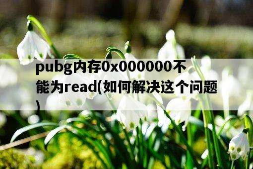 pubg內存0x000000不能為read，如何解決這個問題-圖1