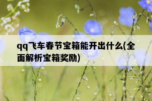 qq飛車春節寶箱能開出什么，全面解析寶箱獎勵-圖1