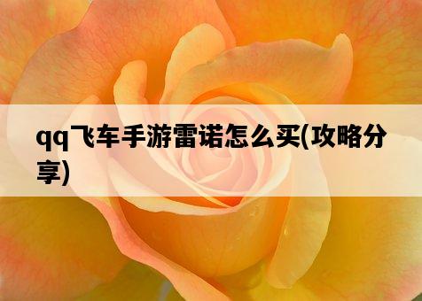 qq飛車手游雷諾怎么買，攻略分享-圖1