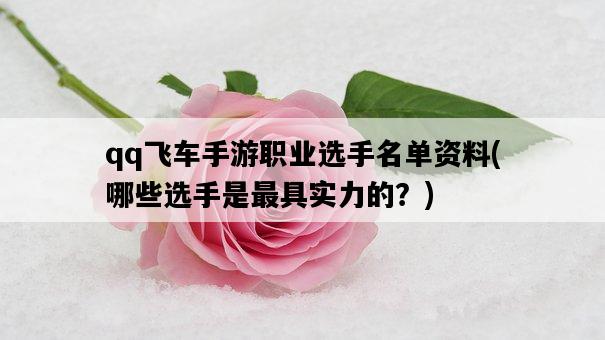 qq飛車手游職業選手名單資料，哪些選手是最具實力的？-圖1
