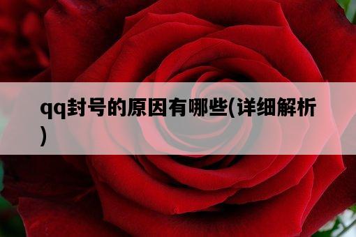 qq封號的原因有哪些，詳細解析-圖1
