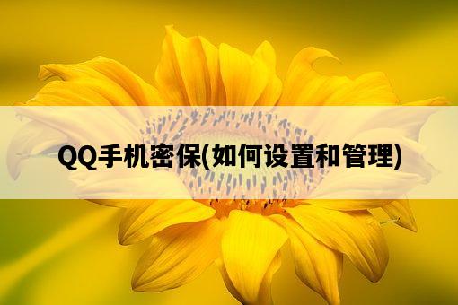 QQ手機密保，如何設置和管理-圖1