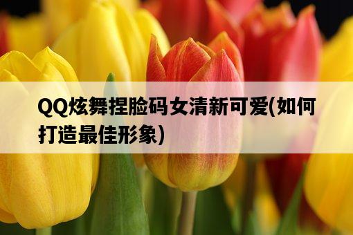 QQ炫舞捏臉碼女清新可愛，如何打造最佳形象-圖1
