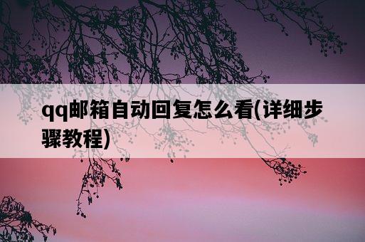 qq郵箱自動回復怎么看，詳細步驟教程-圖1