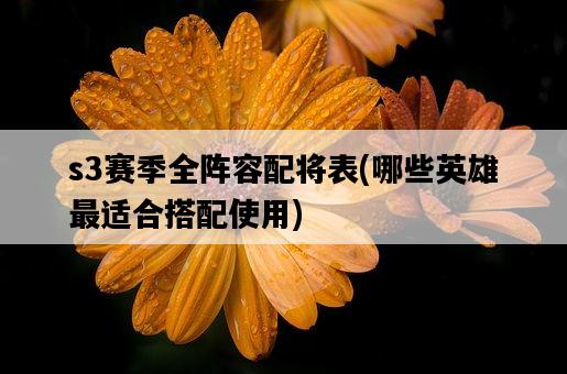 s3賽季全陣容配將表,哪些英雄最適合搭配使用-圖1 s3賽季全陣容配將表,哪些英雄最適合搭配使用-圖1
