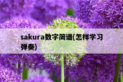 sakura數字簡譜,怎樣學習彈奏-圖1 sakura數字簡譜,怎樣學習彈奏-圖1