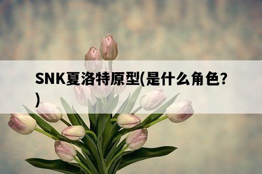 SNK夏洛特原型，是什么角色？-圖1