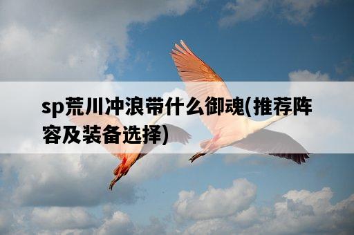sp荒川沖浪帶什么御魂，推薦陣容及裝備選擇-圖1