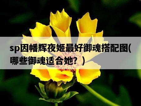 sp因幡輝夜姬最好御魂搭配圖，哪些御魂適合她？-圖1