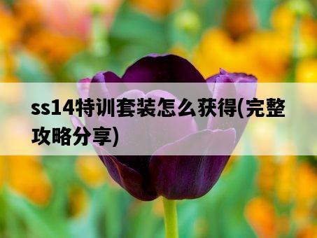 ss14特訓套裝怎么獲得,完整攻略分享-圖1 ss14特訓套裝怎么獲得,完整攻略分享-圖1