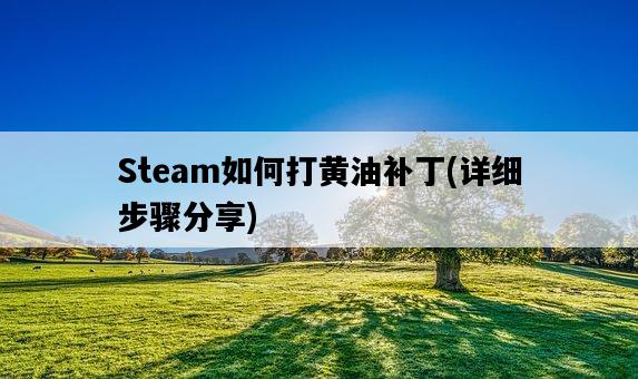 Steam如何打黃油補丁，詳細步驟分享-圖1