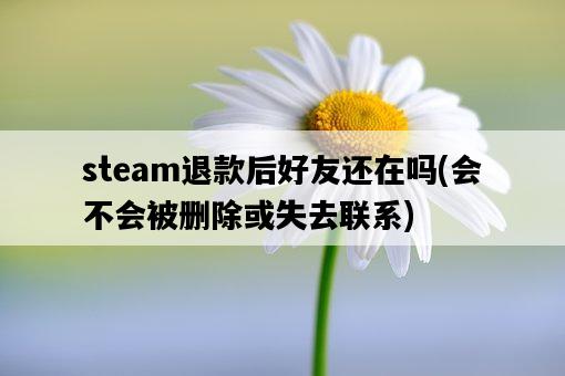 steam退款后好友還在嗎，會不會被刪除或失去聯系-圖1