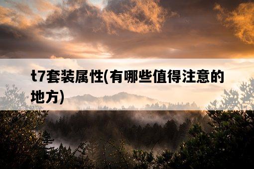 t7套裝屬性，有哪些值得注意的地方-圖1