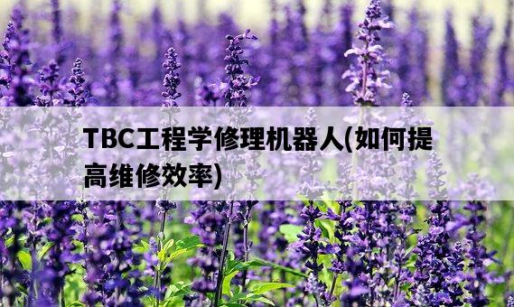 TBC工程學修理機器人，如何提高維修效率-圖1