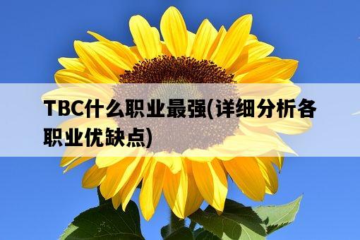 TBC什么職業最強，詳細分析各職業優缺點-圖1