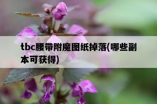 tbc腰帶附魔圖紙掉落，哪些副本可獲得-圖1