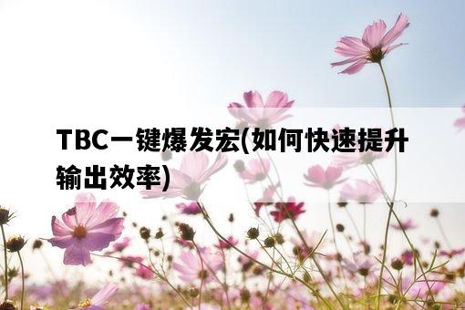 TBC一鍵爆發宏，如何快速提升輸出效率-圖1