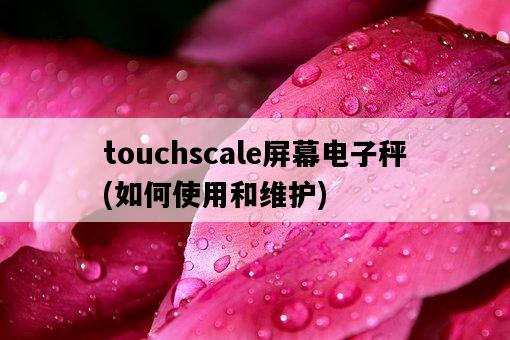 touchscale屏幕電子秤，如何使用和維護-圖1
