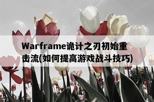 Warframe詭計之刃初始重擊流，如何提高游戲戰斗技巧-圖1