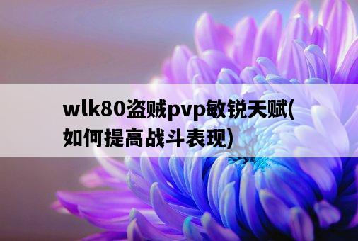 wlk80盜賊pvp敏銳天賦，如何提高戰斗表現-圖1