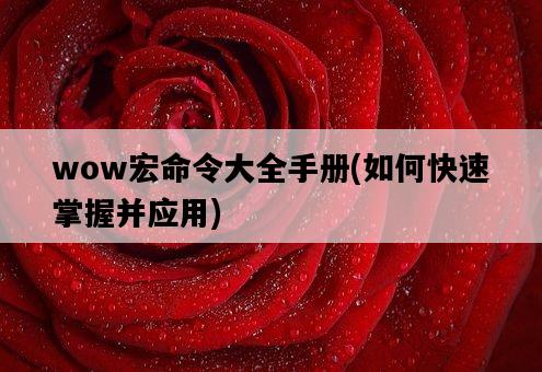 wow宏命令大全手冊，如何快速掌握并應用-圖1