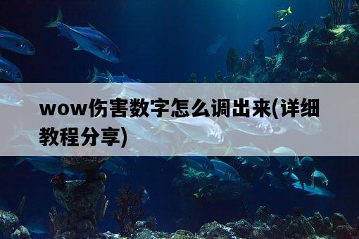 wow傷害數字怎么調出來，詳細教程分享-圖1