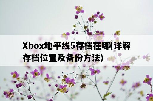 Xbox地平線5存檔在哪，詳解存檔位置及備份方法-圖1