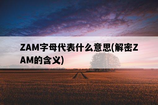 ZAM字母代表什么意思，解密ZAM的含義-圖1