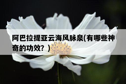 阿巴拉提亞云海風脈泉，有哪些神奇的功效？-圖1