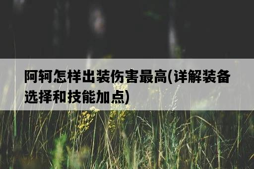 阿軻怎樣出裝傷害最高，詳解裝備選擇和技能加點-圖1