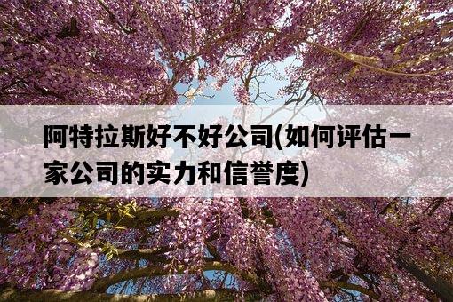 阿特拉斯好不好公司，如何評估一家公司的實力和信譽度-圖1