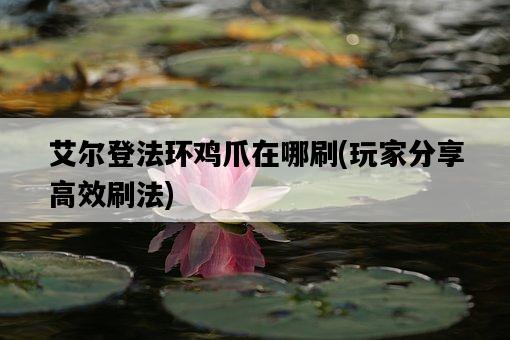 艾爾登法環雞爪在哪刷，玩家分享高效刷法-圖1