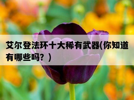 艾爾登法環十大稀有武器，你知道有哪些嗎？-圖1