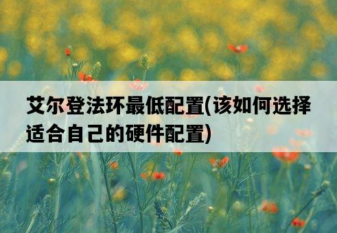 艾爾登法環最低配置,該如何選擇適合自己的硬件配置-圖1 艾爾登法環最低配置,該如何選擇適合自己的硬件配置-圖1